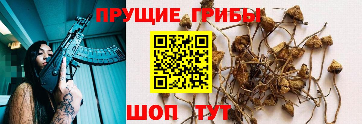 Псилоцибиновые грибы мицелий  Вход с VPN  Галлюциногенные грибы прущие грибы  Чехов 